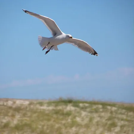 Ferienhaus Bungalow, Dornumersiel